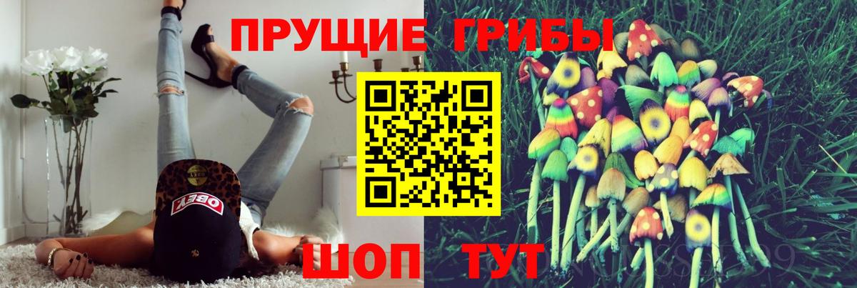 Галлюциногенные грибы прущие грибы  Вход с VPN  Трёхгорный  Псилоцибиновые грибы Psilocybe 